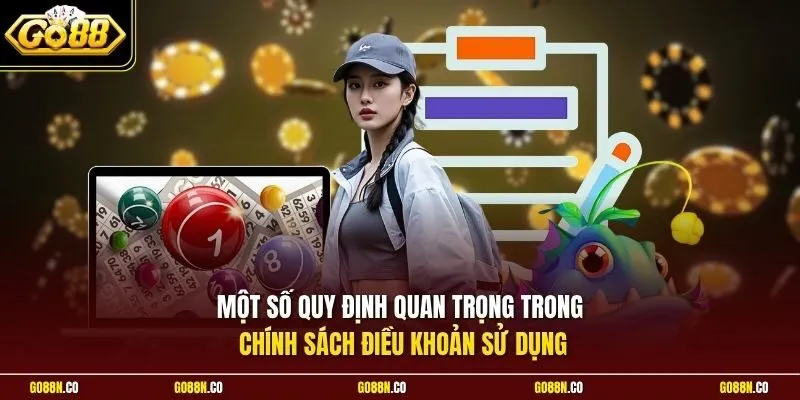 Một số quy định quan trọng trong chính sách điều khoản sử dụng